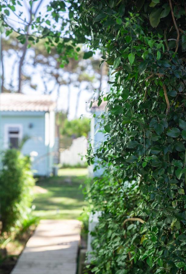 ホテル Koru House プンタ・デル・ディアブロ エクステリア 写真
